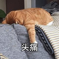 DƬ